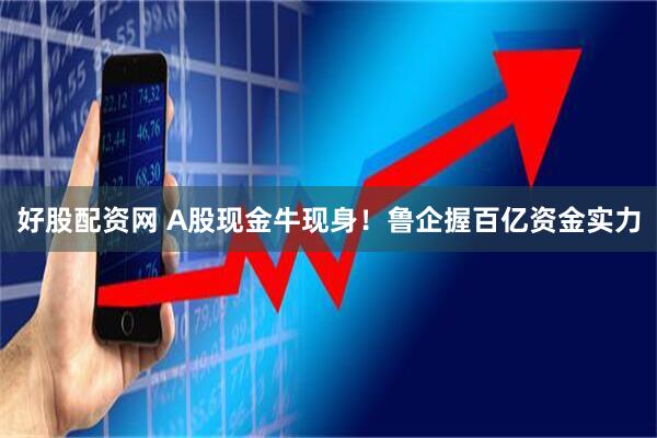 好股配资网 A股现金牛现身！鲁企握百亿资金实力
